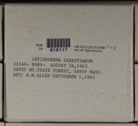 Image Associated With the Occurence